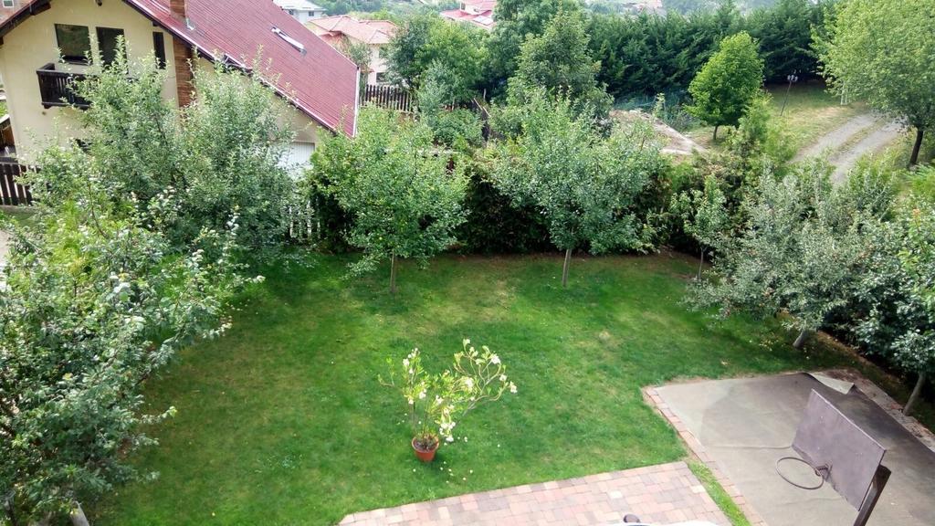 Magnolia Residence Флорешть Екстер'єр фото